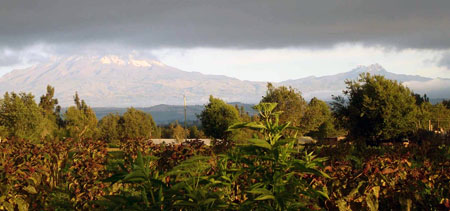 Chimboraza from Piloc's land