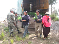 Ecuadorian army helps in reforestation efforts